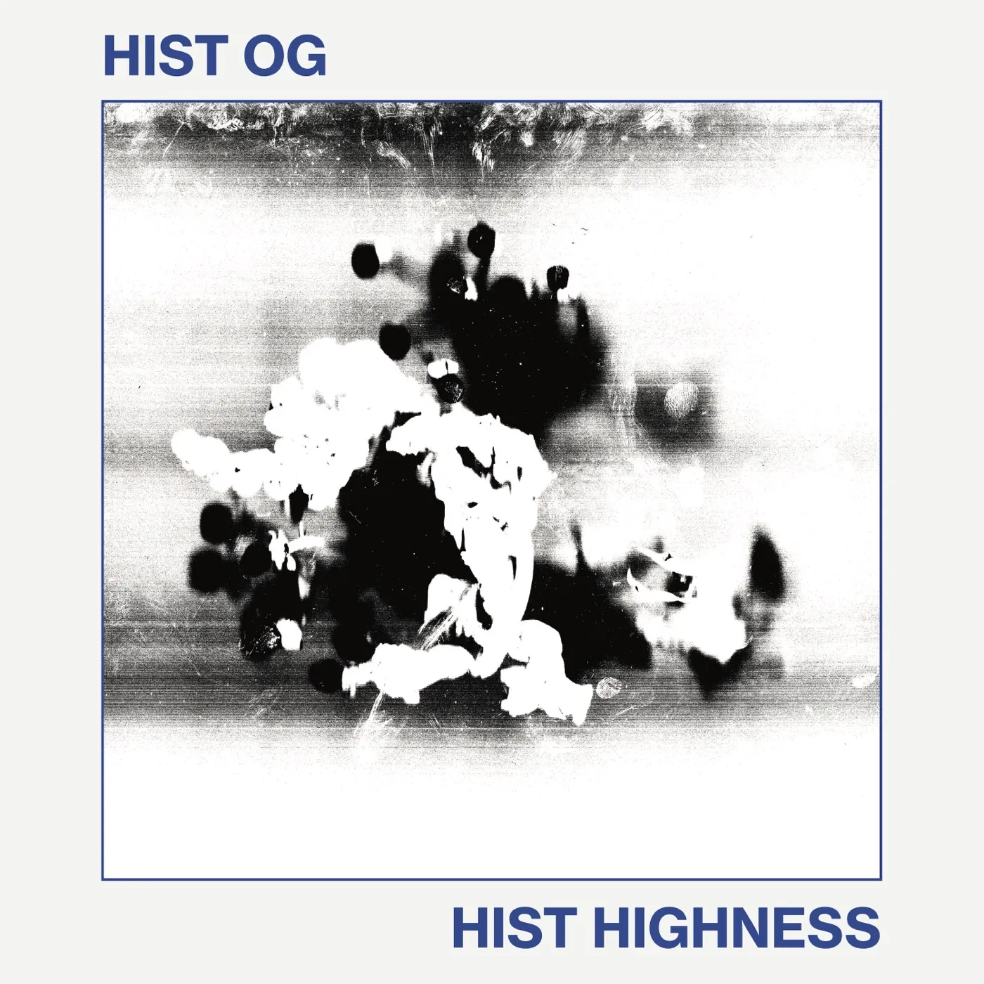 Hist Highness